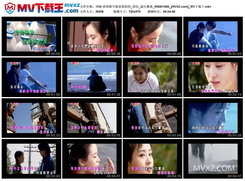 刘婕-你的眼中流着我的泪_国语_流行歌曲_MB201456